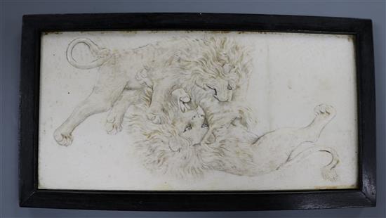 A Meiji carved ivory plaque depicting lions fighting, framed